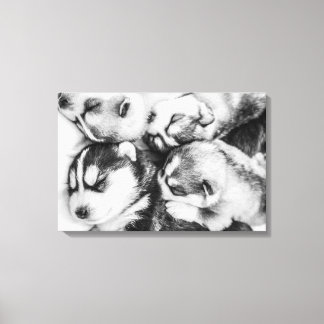 Husky pups in slumber canvas print