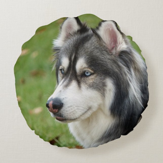 Husky Round Pillow (Back)
