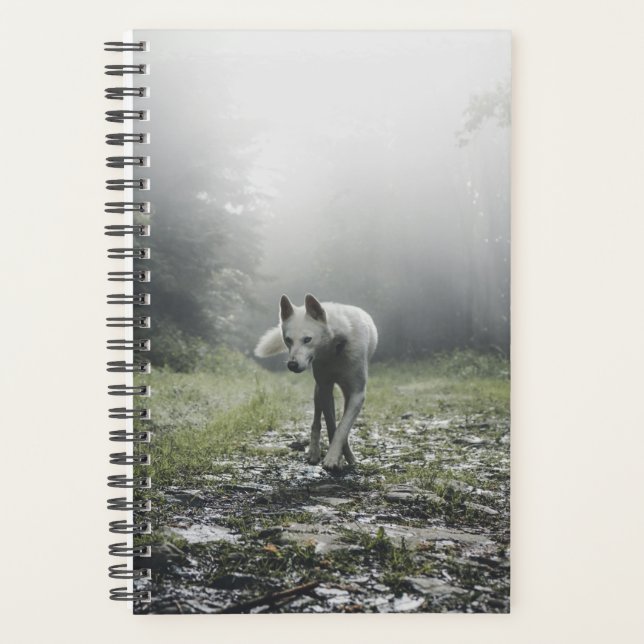 Husky Sibérien Blanc (Devant)