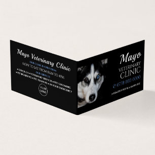 Husky, Veterinarian, Veterinary Service Detailed Business Card