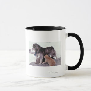 Husky with litter of pups mug