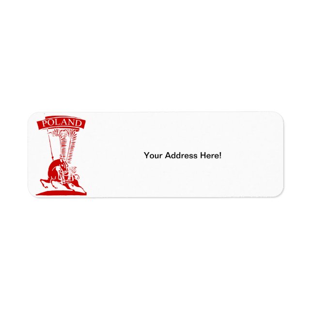 Hussar à ailes polonaises vintages (Devant)