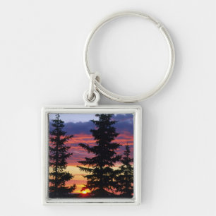 HUSTON PARK WILDERNESS, WYOMING. USA. Spruce Keychain