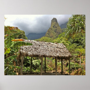Hut in Iao Valley State Park, Maui, Hawaii Poster