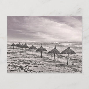 Huts In A Row Postcard