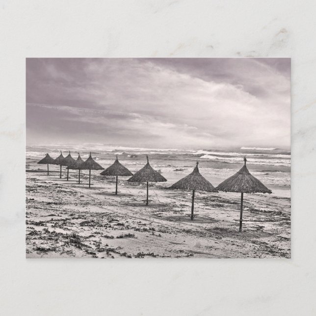 Huts In A Row Postcard (Front)