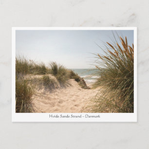 Hvide Sande Denmark Postcard