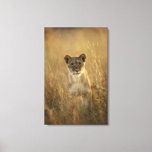 Hwange National Park, Zimbabwe. Canvas Print