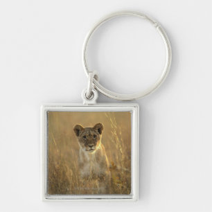 Hwange National Park, Zimbabwe. Keychain