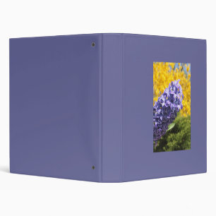 Hyacinth and Forsythia Binder