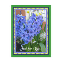 Hyacinth blue