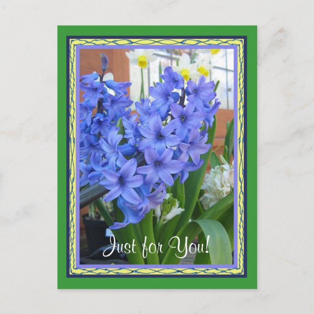 Hyacinth blue postcard (Front)