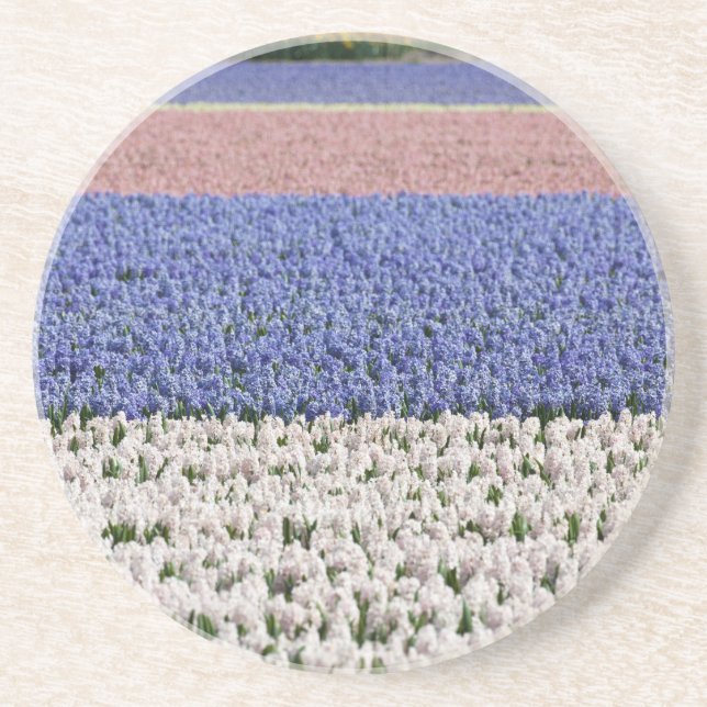 Hyacinth Field Coaster (Front)