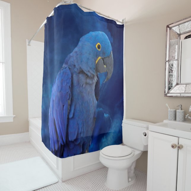 Hyacinth Macaw (In Situ)