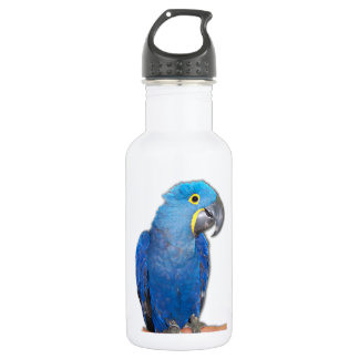 Hyacinth Macaw 532 Ml Water Bottle