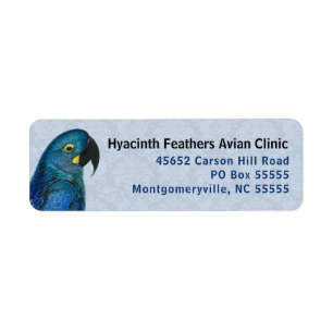 Hyacinth Macaw Avian Business Blue Adresse de reto