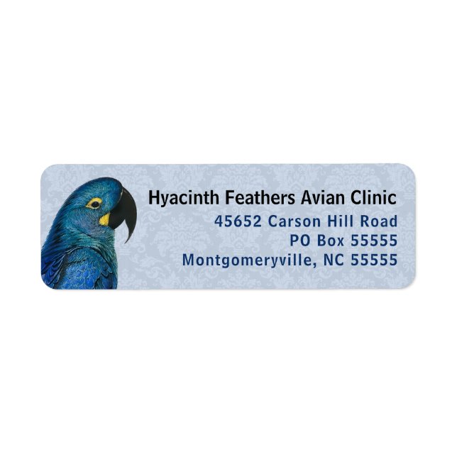 Hyacinth Macaw Avian Business Blue Adresse de reto (Devant)