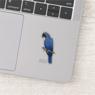Hyacinth macaw bird cartoon illustration