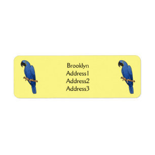 Hyacinth macaw bird cartoon illustration 
