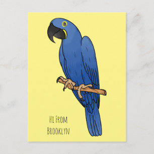 Hyacinth macaw bird cartoon illustration postcard