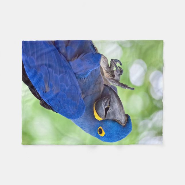Hyacinth Macaw Bird Fleece Blanket (Front (Horizontal))