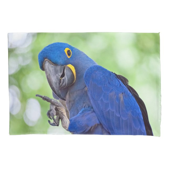 Hyacinth Macaw Bird Pillowcase (Front)