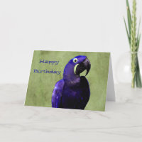 Hyacinth Macaw Birthday Card