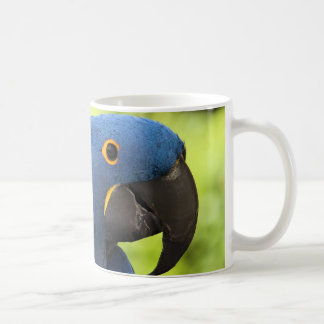 Hyacinth Macaw Coffee Mug