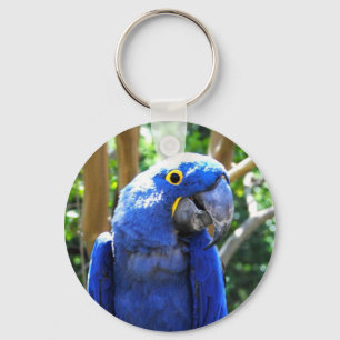 Hyacinth Macaw Keychain