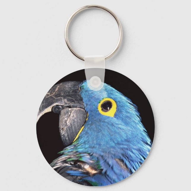 Hyacinth Macaw Keychain (Front)