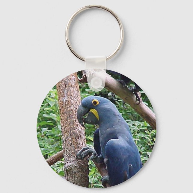 Hyacinth Macaw Keychain (Front)