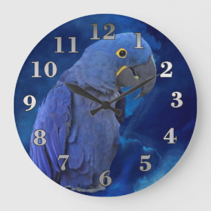 Hyacinth Macaw Large Clock