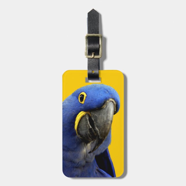 Hyacinth Macaw Luggage Tag (Front Vertical)