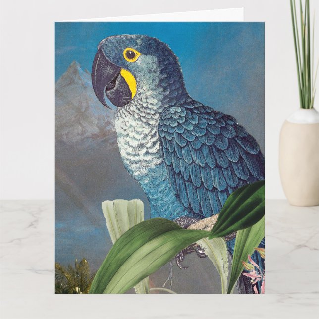 Hyacinth Macaw Parrot Bird Bonne carte d'anniversa (Devant)