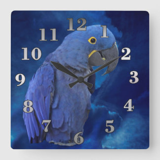 Hyacinth Macaw Square Wall Clock