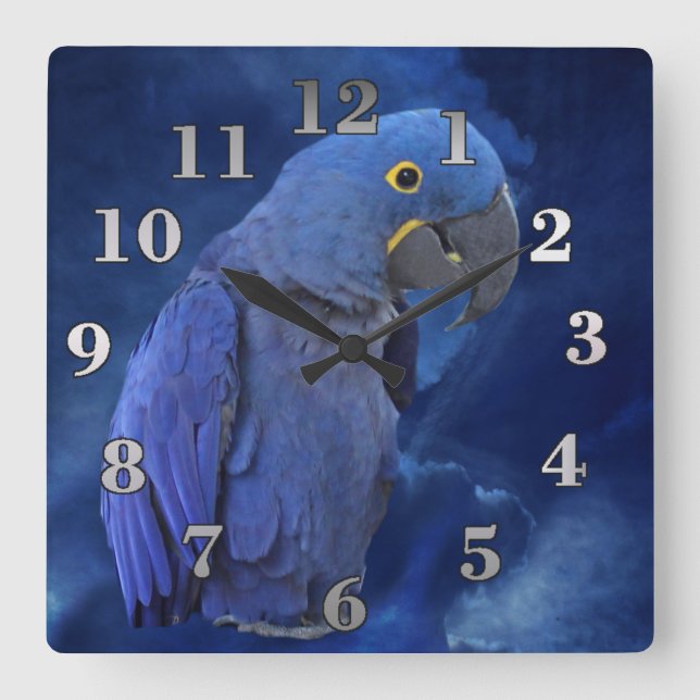 Hyacinth Macaw Square Wall Clock (Front)