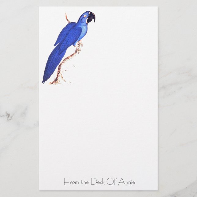 Hyacinth Macaw Stationery (Front)