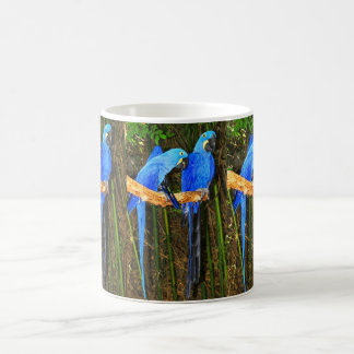 Hyacinth Macaws Coffee Mug