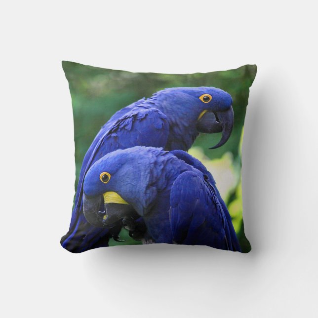 Hyacinth Macaws Throw Pillow (Front)