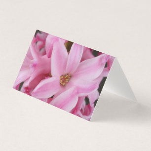 hyacinthe rose