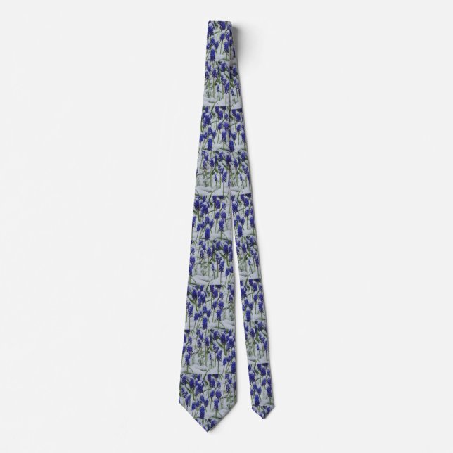 Hyacinthes de raisin en Cravate de neige (Devant)