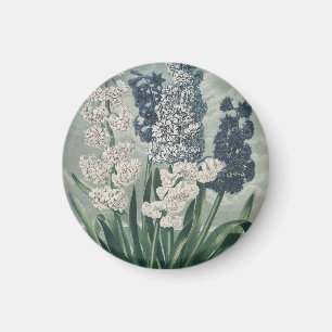 Hyacinths (1807) – Exquisite Vintage Botanical Magnet