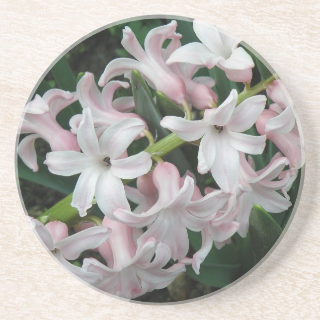 Hyacinths Coasters (Front)