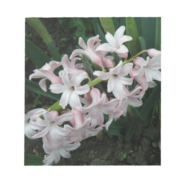 Hyacinths Notepad (Front)