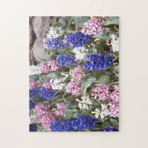 Hyacinths Puzzle