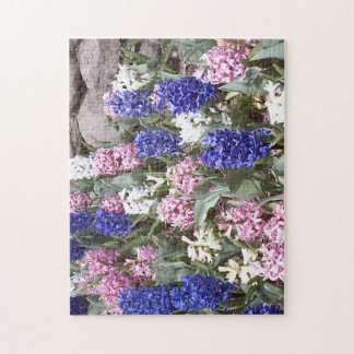 Hyacinths Puzzle