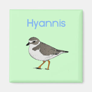 hyannis-plover magnet