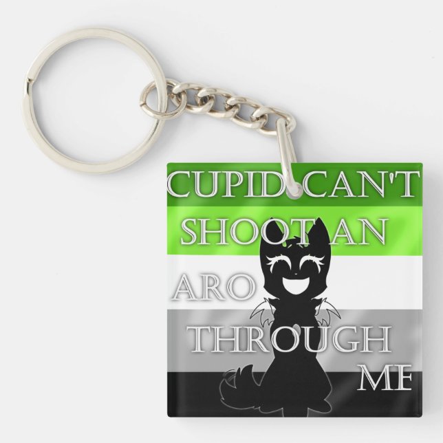 Hybrid Aro Keychain  (Front)