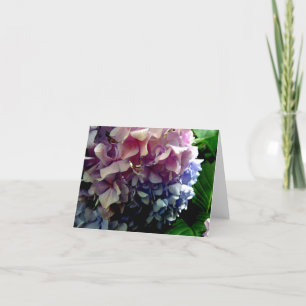 Hybrid Hydrangea Notecard