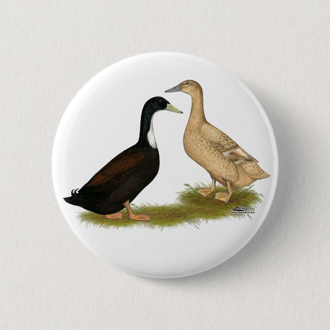 Hybrid Laying Duck 2 Inch Round Button (Front)